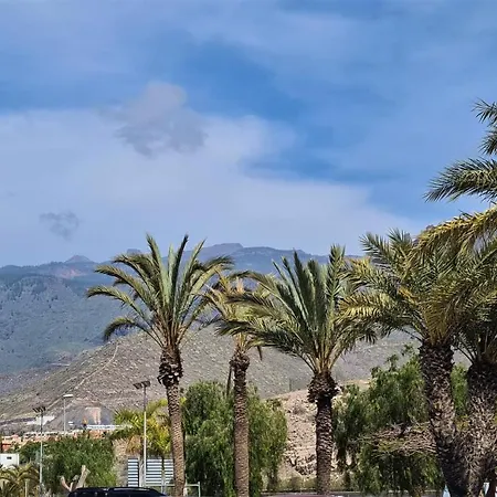 Orlando Tenerife Sur Donald 109 *