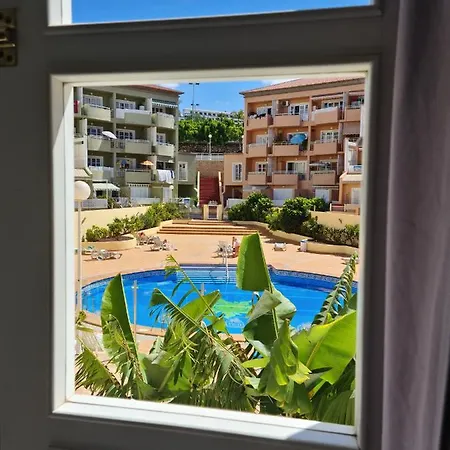 Orlando Tenerife Sur Donald 109